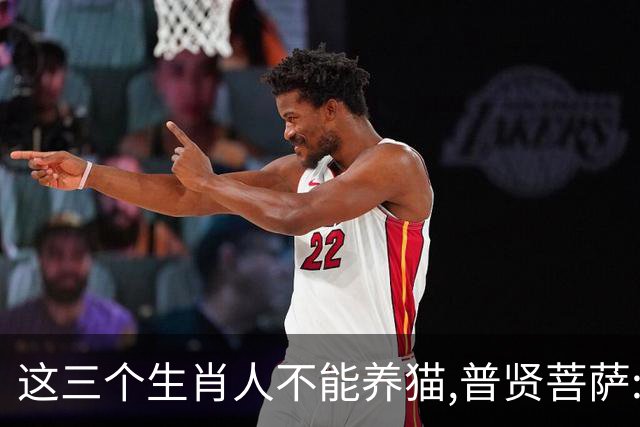 这三个生肖人不能养猫,普贤菩萨:不是养不起,是相生相克,因果相撞